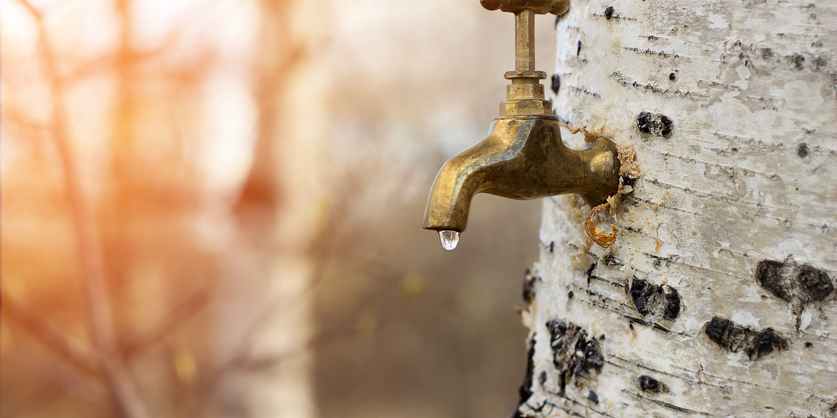 Kraan met water Kraan met water