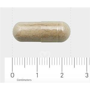 Orthica Orthifiber Orthica Orthifiber afbeelding