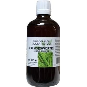Natura Sanat Acorus calamus / kalmoeswortel tinctuur bio Natura Sanat Acorus calamus / kalmoeswortel tinctuur bio afbeelding