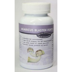Nateeko Agaricus blastex forte Nateeko Agaricus blastex forte afbeelding