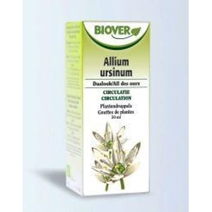 Biover Allium ursinum tinctuur afbeelding