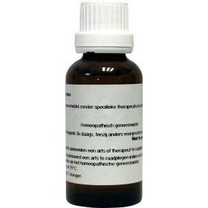 Homeoden Heel Bellis perennis phyto Homeoden Heel Bellis perennis phyto afbeelding