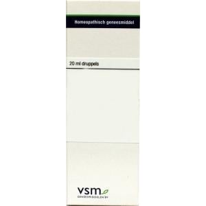 VSM - Berberis vulgaris D6