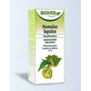 Biover Humulus lupulus Biover Humulus lupulus afbeelding