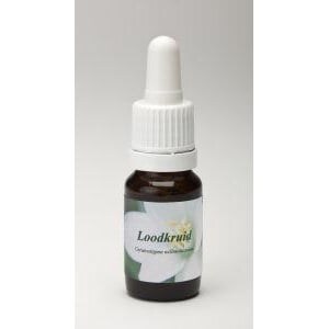 Star Remedies Loodkruid Star Remedies Loodkruid afbeelding