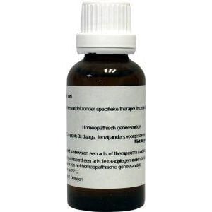 Homeoden Heel Lycopodium clavatum D6 Homeoden Heel Lycopodium clavatum D6 afbeelding