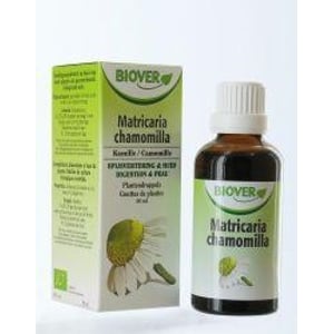 Biover Matricaria chamomilla afbeelding