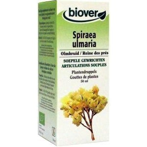 Biover Spiraea ulmaria Biover Spiraea ulmaria afbeelding