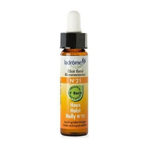 La Drome Holly / hulst 21 La Drome Holly / hulst 21 afbeelding