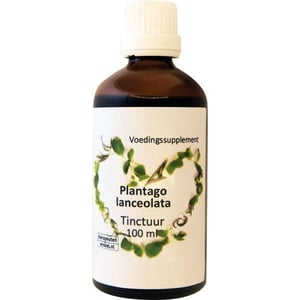 Ther Winkel Plantago lanceolata Ther Winkel Plantago lanceolata afbeelding