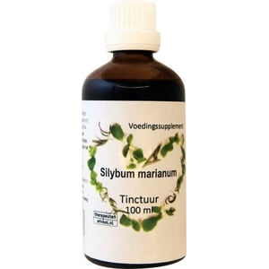 Ther Winkel Silybum marianum Ther Winkel Silybum marianum afbeelding