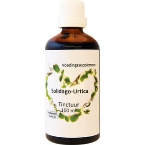 Ther Winkel Solidago urtica Ther Winkel Solidago urtica afbeelding