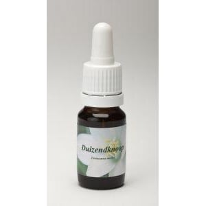 Star Remedies Duizendknoop Star Remedies Duizendknoop afbeelding