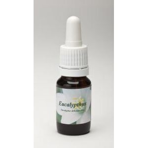 Star Remedies Eucalyptus Star Remedies Eucalyptus afbeelding