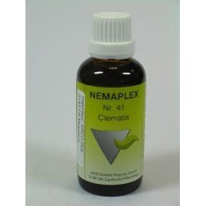 Nestmann Clematis 41 Nemaplex Nestmann Clematis 41 Nemaplex afbeelding