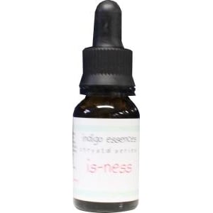 Indigo Essences Is-ness Indigo Essences Is-ness afbeelding