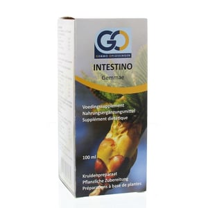 GO - Intestino