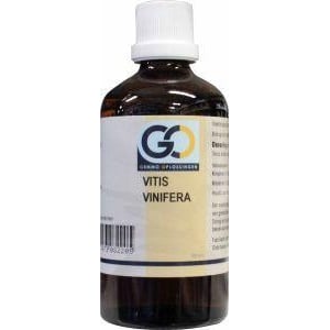 GO Vitis vinifera afbeelding
