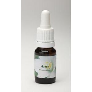 Star Remedies Aster Star Remedies Aster afbeelding