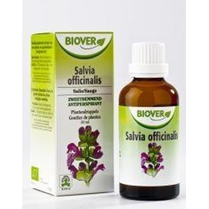 Biover Salvia officinalis afbeelding