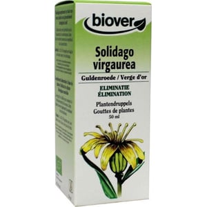 Biover Solidago virgaurea Biover Solidago virgaurea afbeelding
