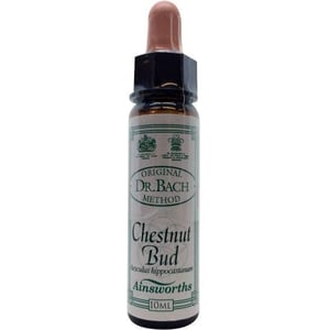 Ainsworths Chestnut bud Bach Ainsworths Chestnut bud Bach afbeelding