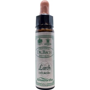 Ainsworths Larch Bach Ainsworths Larch Bach afbeelding