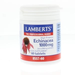 Lamberts Echinacea 1000 mg afbeelding