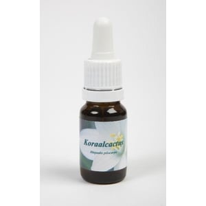 Star Remedies Koraalcactus Star Remedies Koraalcactus afbeelding