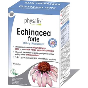 Physalis Echinacea forte afbeelding