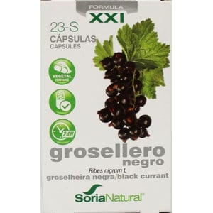 Soria Ribes nigrum 23-S XXI afbeelding