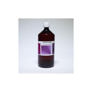 AYURVEDA HEALTH Punarnavasam arishta AYURVEDA HEALTH Punarnavasam arishta afbeelding