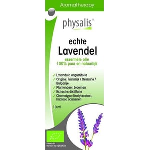Physalis Lavendel echte bio afbeelding