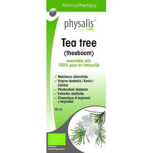 Physalis Tea tree bio afbeelding