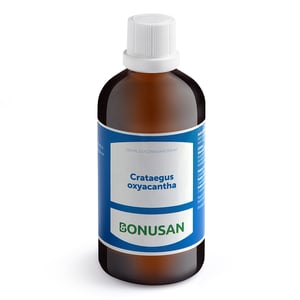 Bonusan Crataegus oxycantha Bonusan Crataegus oxycantha afbeelding