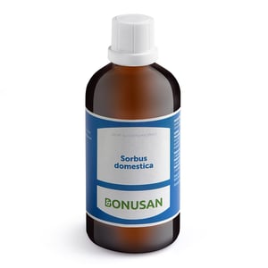 Bonusan Sorbus domestica Bonusan Sorbus domestica afbeelding