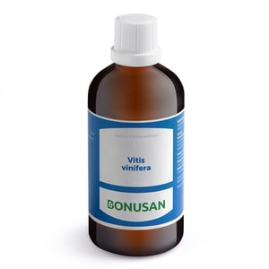 Bonusan Vitis vinifera Bonusan Vitis vinifera afbeelding