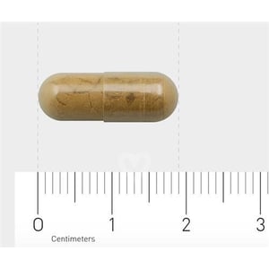 AOV Voedingssupplementen 809 Cimicifuga Extract (troszilverkaars) AOV Voedingssupplementen 809 Cimicifuga Extract (troszilverkaars) afbeelding