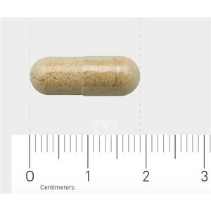 AOV Voedingssupplementen 805 Genisteine AOV Voedingssupplementen 805 Genisteine afbeelding