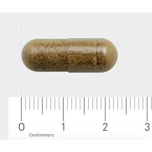 AOV Voedingssupplementen 1028 ALC & Ashwagandha AOV Voedingssupplementen 1028 ALC & Ashwagandha afbeelding