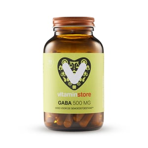 Vitaminstore GABA 500 mg afbeelding