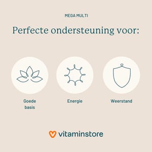 Vitaminstore Mega Multi (multivitamine) afbeelding