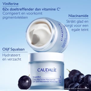 Caudalie Vinoperfect Dagcrème tegen Pigmentvlekken Caudalie Vinoperfect Dagcrème tegen Pigmentvlekken afbeelding