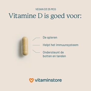 Vitaminstore Vegan D3 25 mcg (vegan vitamine D 1000 IE) afbeelding
