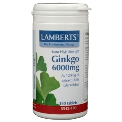 Lamberts Ginkgo 6000 mg Lamberts Ginkgo 6000 mg afbeelding