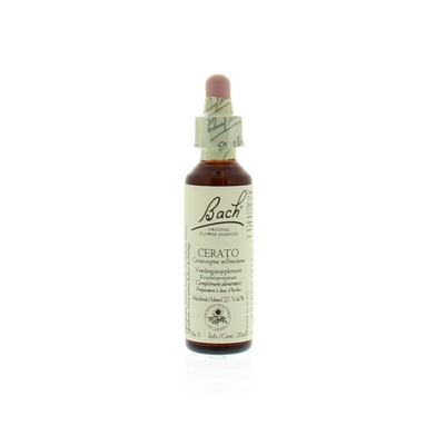Bach Cerato / leadwort Bach Cerato / leadwort image