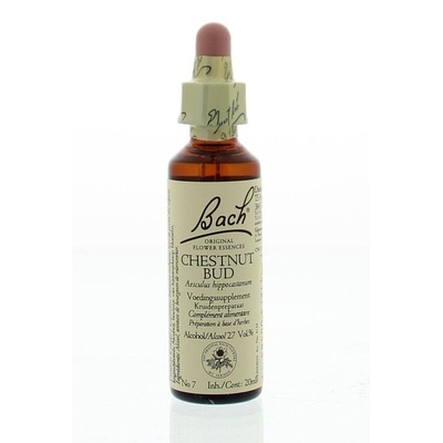 Bach Chestnut bud / kastanjeknop Bach Chestnut bud / kastanjeknop afbeelding