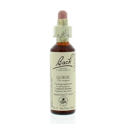 Bach Gorse / gorse Bach Gorse / gorse image
