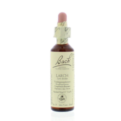 Bach Larch / lariks Bach Larch / lariks afbeelding