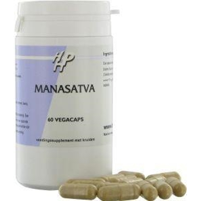 Holisan Manasatva Holisan Manasatva afbeelding